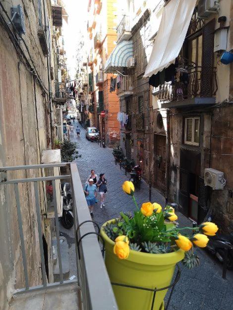 La Conchiglia Napoli Apartment Bagian luar foto